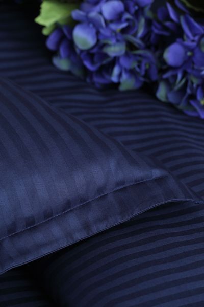 Комплект постільної білизни 200x220 PAVIA LINEA INDIGO синій 402388 фото